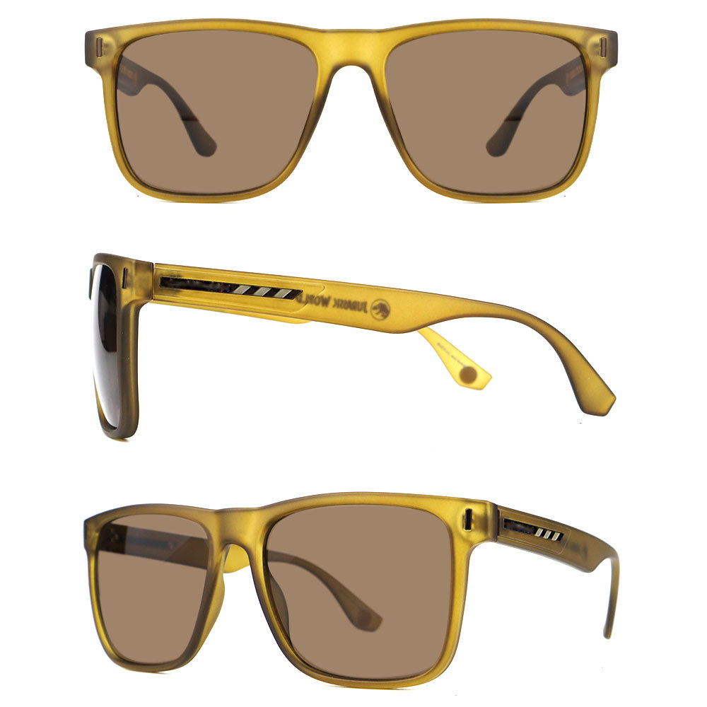 Sunglasses-490396